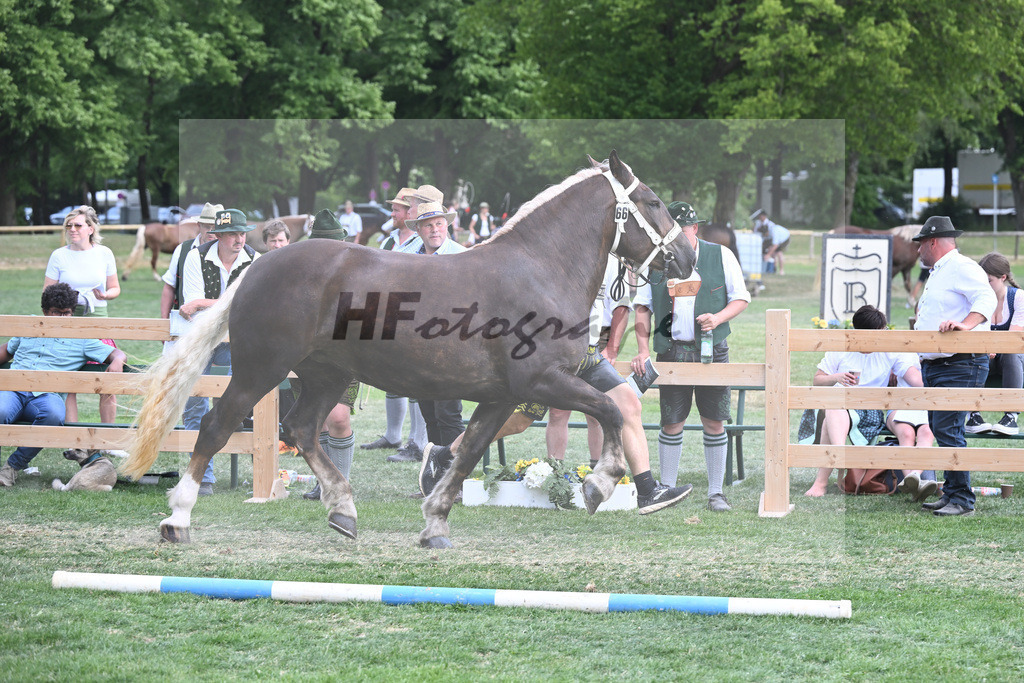 Kat-Nr. 66 Perle_Onnich_20231077 | hf-fotografie - Realisiert mit Pictrs.com