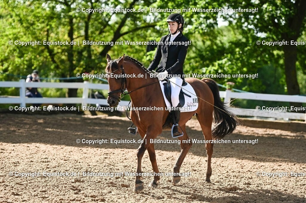20230716_04_Dressurreiterprüfung Kl.A_0132 | equistock