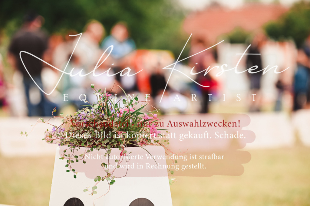 DSC_5183 | Pferde- und Turnierfotografie in Westsachsen. Pferdeportraits, Auftragszeichnungen und intuitive Kunst.