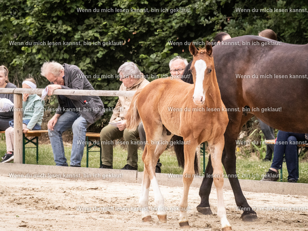 A10I9890 | photographylinaismer - Realisiert mit Pictrs.com