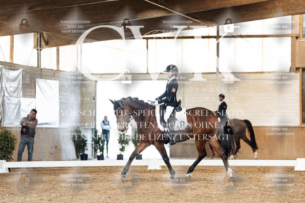 CK901496 | Turnierfotografie Pferdefotografie Trier Rheinland-Pfalz Pferdesport Reitsport Tierfotografie Sportfotografie Pferdevideo Pferdevideografie Equestrianvideography equestrianphotography  - Realisiert mit Pictrs.com