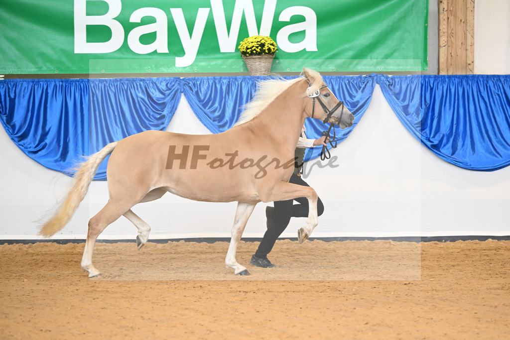 Kat-Nr. 278 Daria_Obermaier_54223202 | hf-fotografie - Realisiert mit Pictrs.com