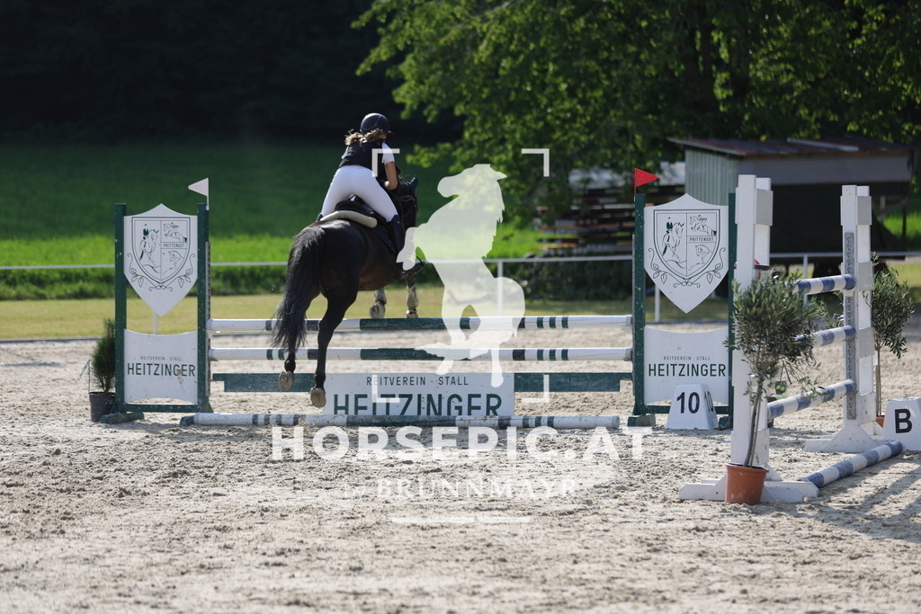 0P6A6359 | Willkommen bei Brunnmayr - Design & Fotografie – Ihrem Spezialisten für Reitturniere und Pferdeveranstaltungen in Oberösterreich, Salzburg und Bayern! Seit über 17 Jahren sind wir leidenschaftlich dabei.