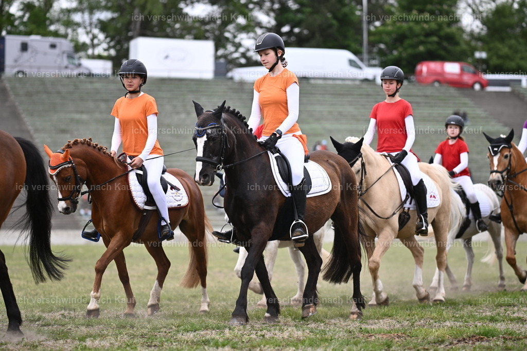 PI26_Show_Sara_Landvogt_226_1616.JPG | working equitationturnier fotograf videograf stoibphotography marixx film working equitation deutschland reitsport turnierfotografie eventfotografie equestrian events