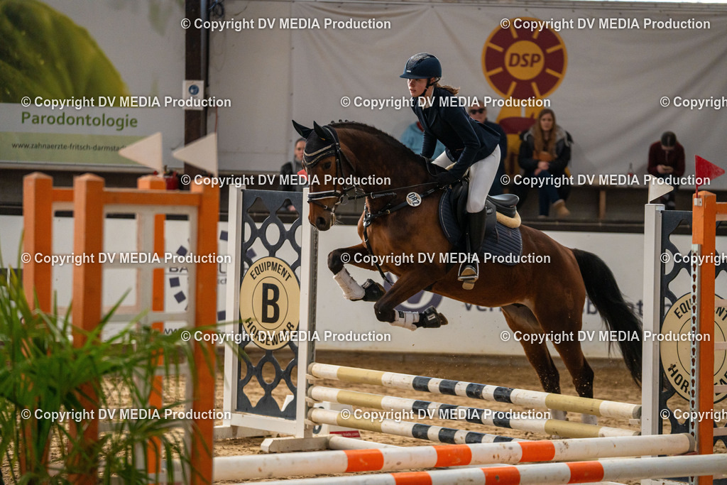 Kranichstein Tag 2-0985 | dv-media-shop - Realisiert mit Pictrs.com