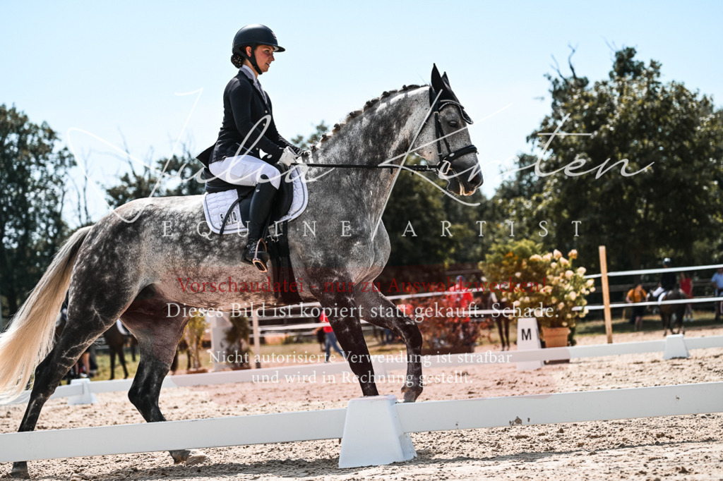 DSC_5609 | Pferde- und Turnierfotografie in Westsachsen. Pferdeportraits, Auftragszeichnungen und intuitive Kunst.