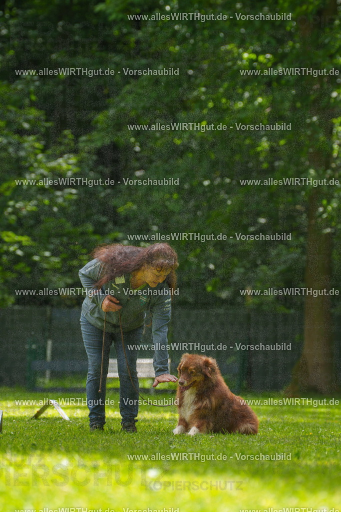 @allesWIRTHgut_Tierfotografie - www.allesWIRTHgut.de - 7R500808 | Professionelle Tierfotografie in Mönchengladbach von Daniel Wirth (allesWIRTHgut). Liebevolle & natürliche Bilder von Hunden & Katzen für unvergessliche Erinnerungen.