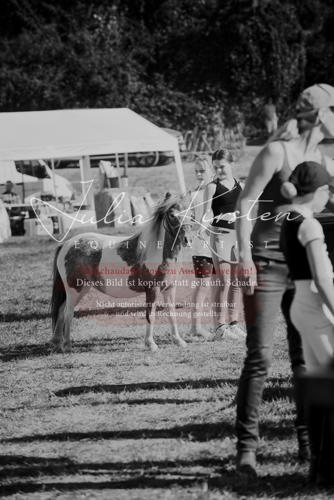 DSC_6016 | Pferde- und Turnierfotografie in Westsachsen. Pferdeportraits, Auftragszeichnungen und intuitive Kunst.