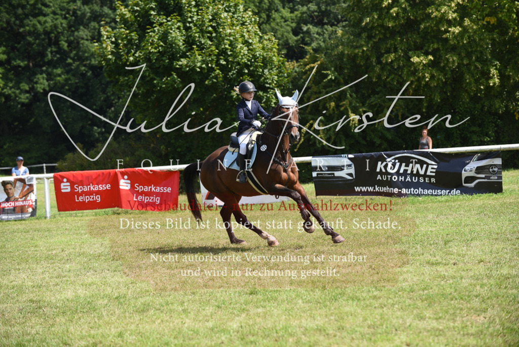 DSC_9959 | Pferde- und Turnierfotografie in Westsachsen. Pferdeportraits, Auftragszeichnungen und intuitive Kunst.