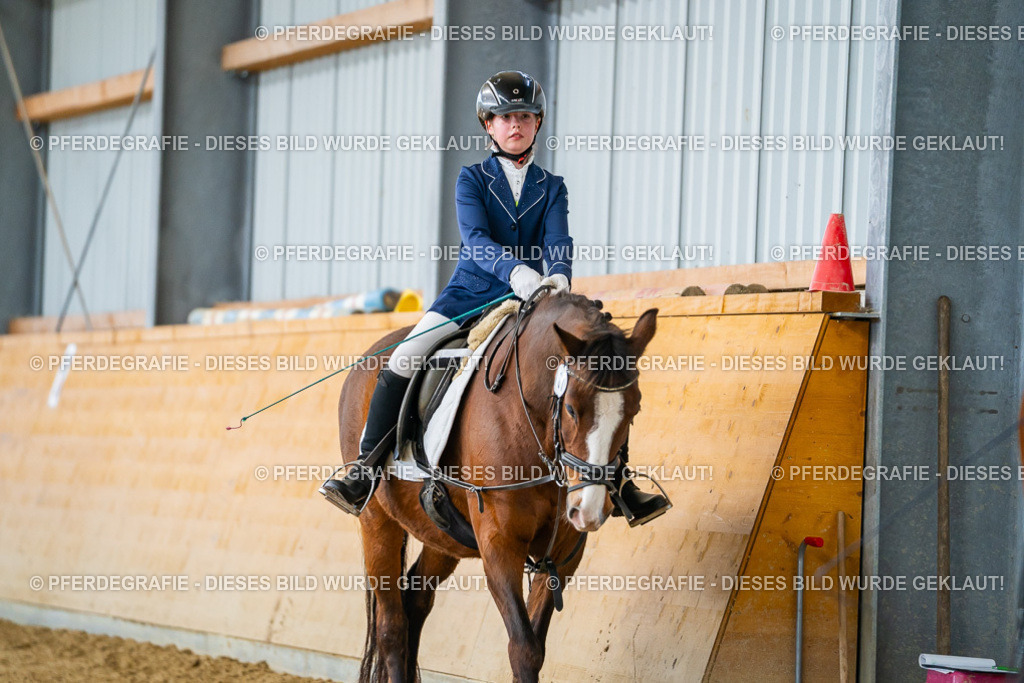 DSC01121 | Pferdegrafie