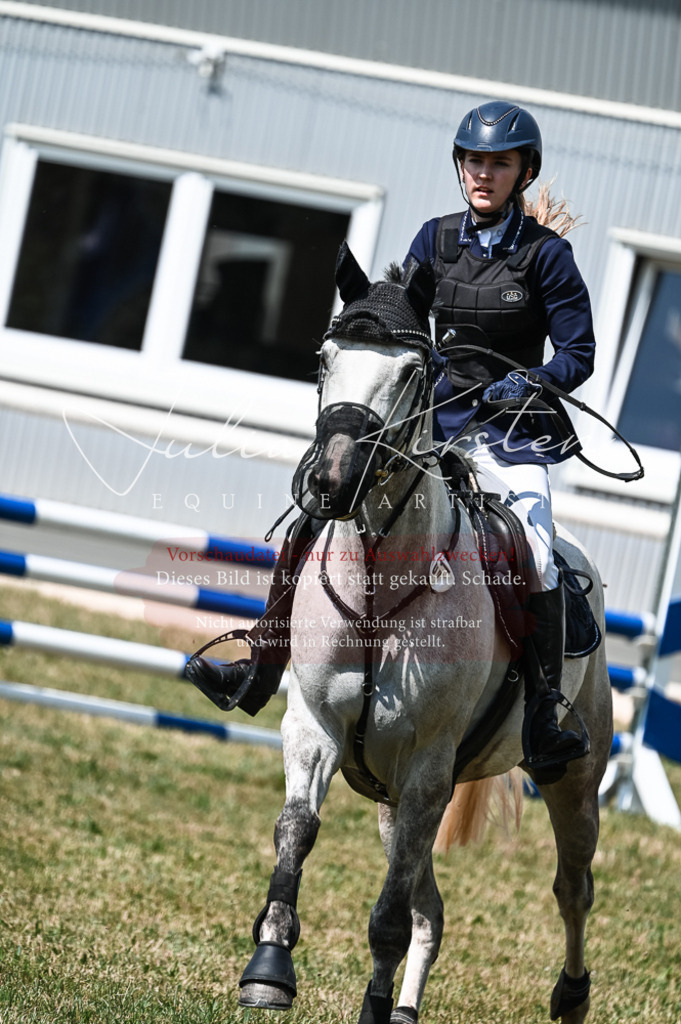DSC_8817 | Pferde- und Turnierfotografie in Westsachsen. Pferdeportraits, Auftragszeichnungen und intuitive Kunst.