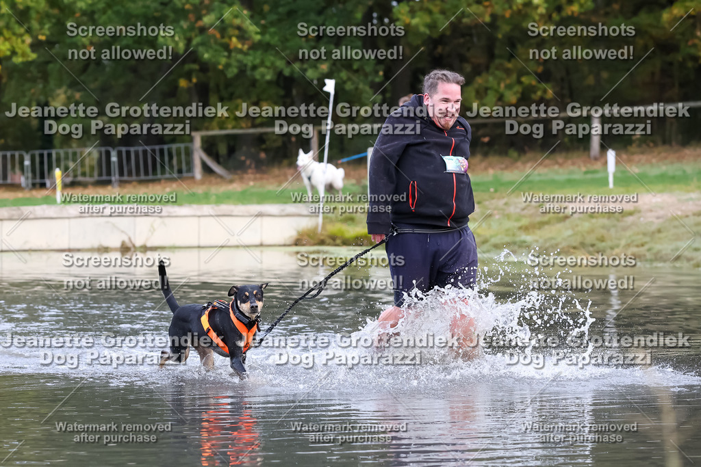 Dog Paparazzi - Strongdog 10-25-6637 | Dog Paparazzi Jeanette Grottendiek Fotografie & Videografie - Realisiert mit Pictrs.com