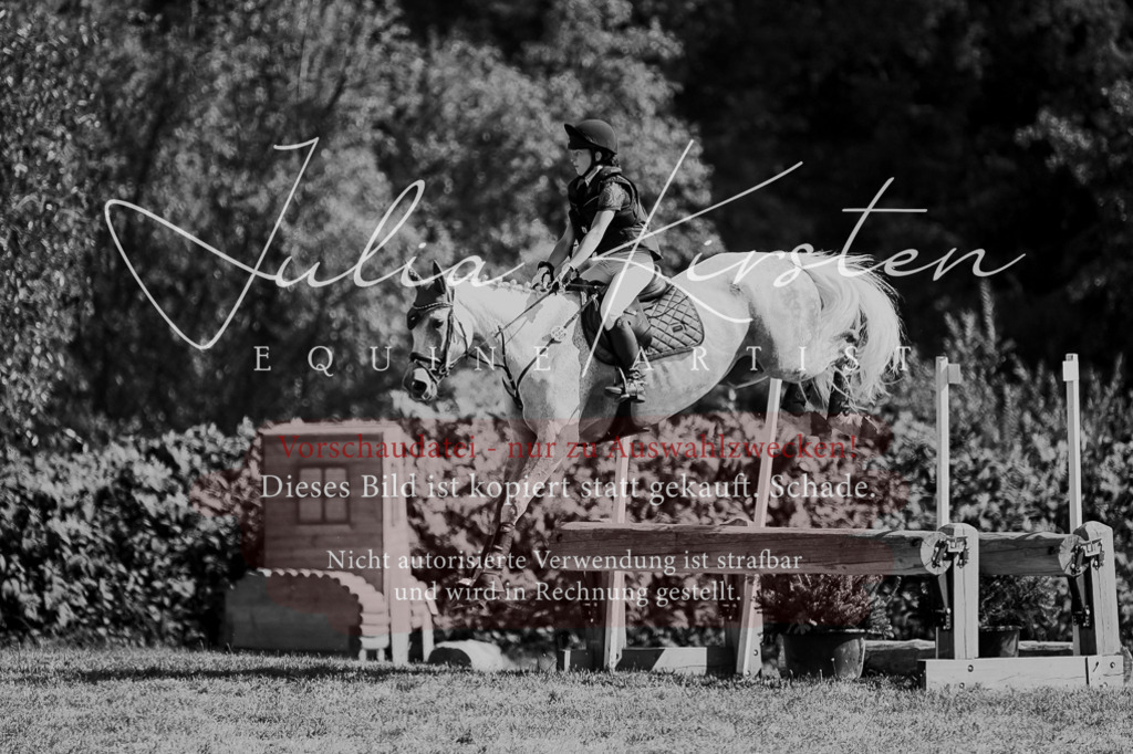 DSC_8456 | Pferde- und Turnierfotografie in Westsachsen. Pferdeportraits, Auftragszeichnungen und intuitive Kunst.