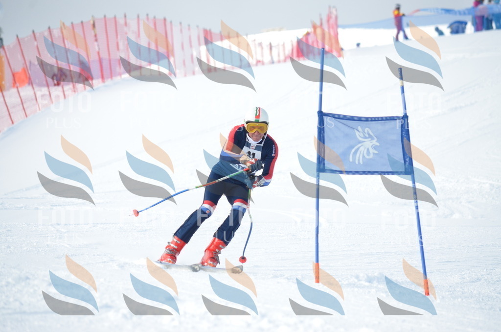 D8850 | holidayphoto