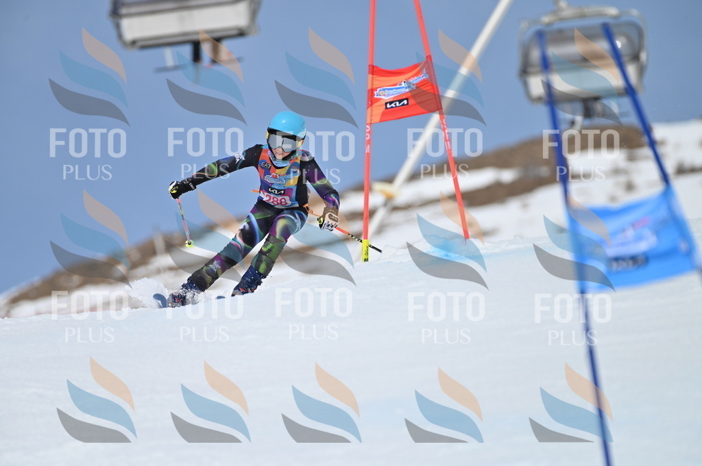 BGV_2556 | holidayphoto