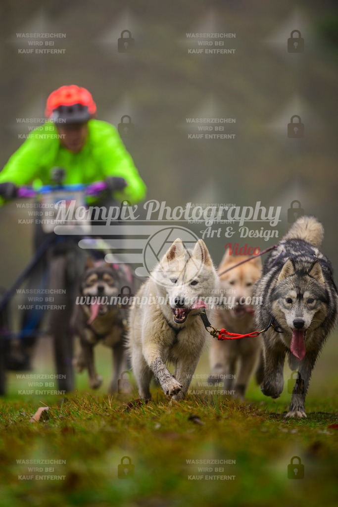 MompixPhotography_Bischwiller2025_Kart-33 | mompixphotography