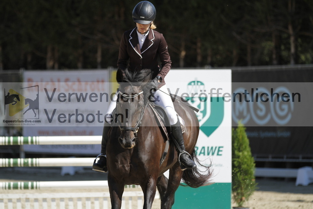 _MG_4534 | equestrian-live-com