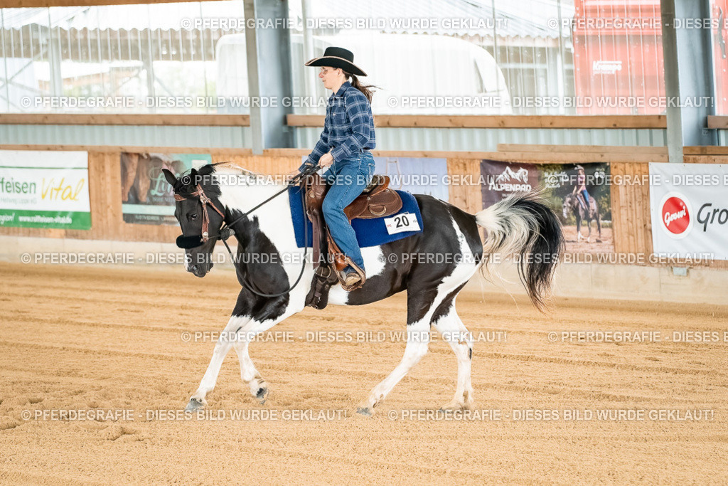 DSC02713 | Pferdegrafie