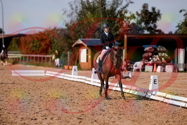 2026_10_03_Siefer-Hof_130741_Z81_58628003 | Professionelle Reitsport-, Turnier- und Eventfotografie von Robert Broda. Galerien mit ausgewählten und bearbeiteten Bildern direkt online ansehen und bestellen.