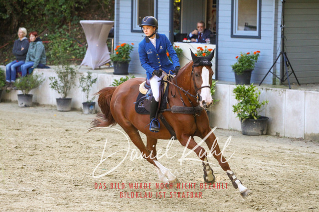DKP42844 | Turniersportfotografie; Pferdefotografie; Dressurfotografie