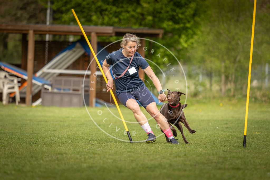 Pfotenfotografie_DV3A5315 | Hundefotografie, Tierfotograf, Pfotenfotografie, Fotoshooting Hund, Hunde Portrait, Hundesport, Hundeportraits, Heideshooting, Hunde, Sportfotograf, Hundefotograf, Turnierhundsport, THS,  - Realisiert mit Pictrs.com