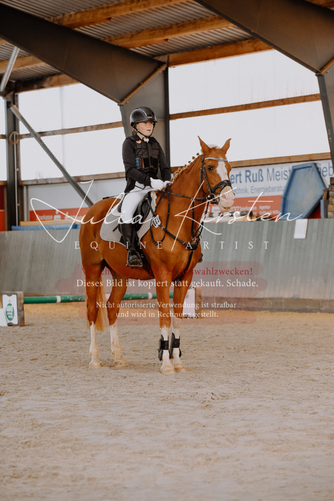 DSC_7446 | Pferde- und Turnierfotografie in Westsachsen. Pferdeportraits, Auftragszeichnungen und intuitive Kunst.