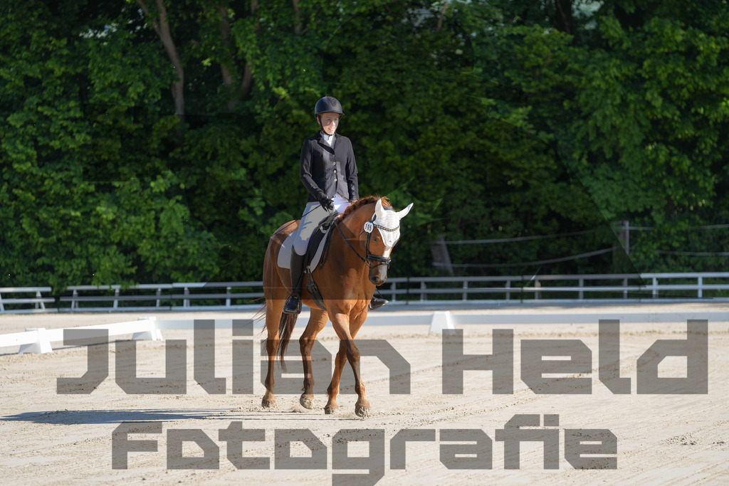 DSC02820 | Julian Held Fotografie - Realisiert mit Pictrs.com