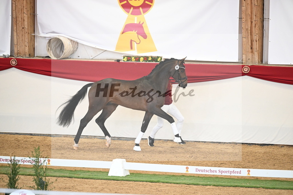 Kat.-Nr. 68 v. Fynch Hatton_Kampe_2250488 | hf-fotografie - Realisiert mit Pictrs.com