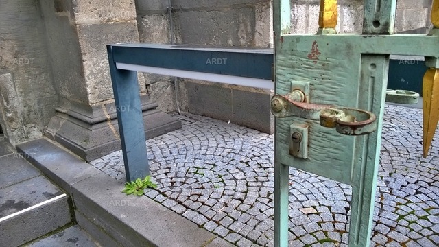 Stadt Natur 11 | ARDT Foto Kunst