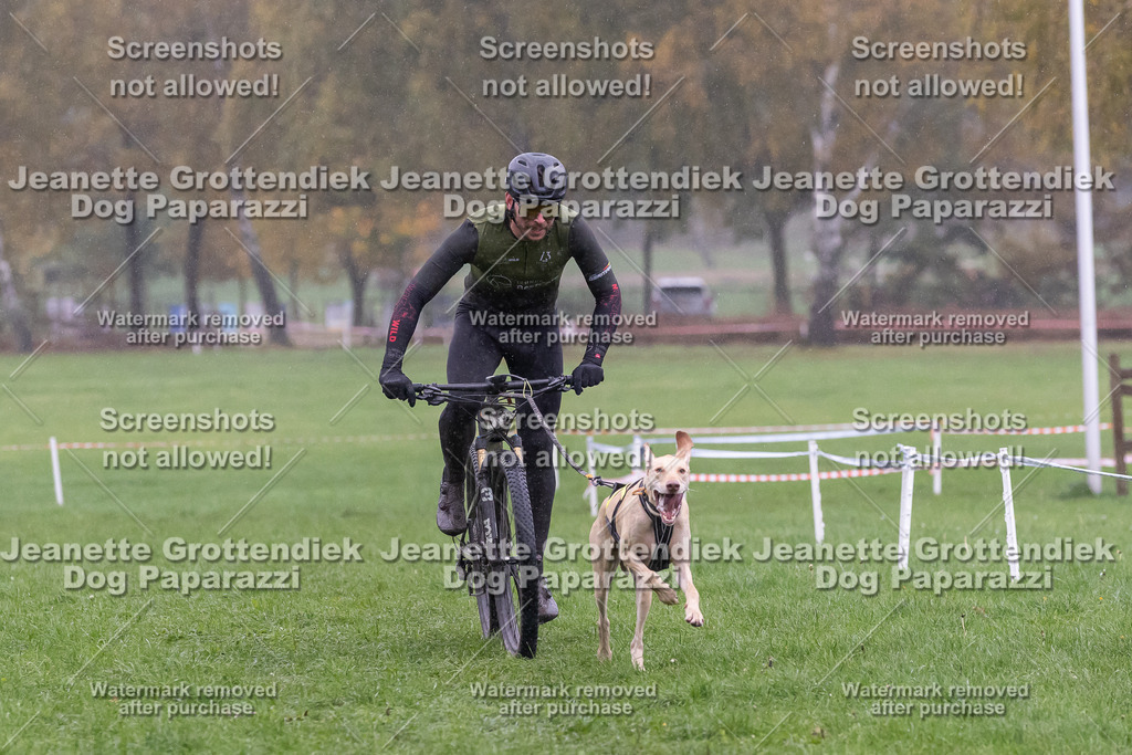 Dog Paparazzi - SD CaniX Championship 2025-905 | Dog Paparazzi Jeanette Grottendiek Fotografie & Videografie - Realisiert mit Pictrs.com