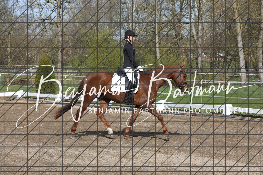 AZ2A2844 | Benjamin Bartmann Photomoments