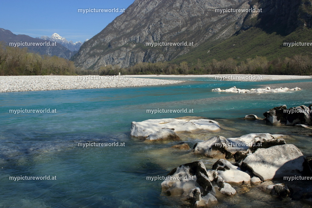 Tagliamento-006 | Das Bilderarchiv über Tiere, Planzen und Landschaften. In der Bilddatenbank finden Sie ein große Auswahl an hochwertigen Bilder für Ihre Werbung - Realisiert mit Pictrs.com