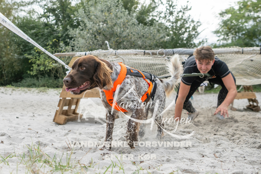 1136_ZZ98278 | kk-dogfotos