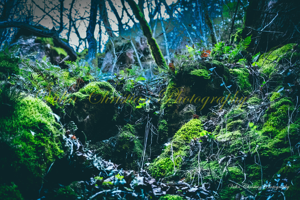 JBK 20 | Christian Vulin  - Realisiert mit Pictrs.com