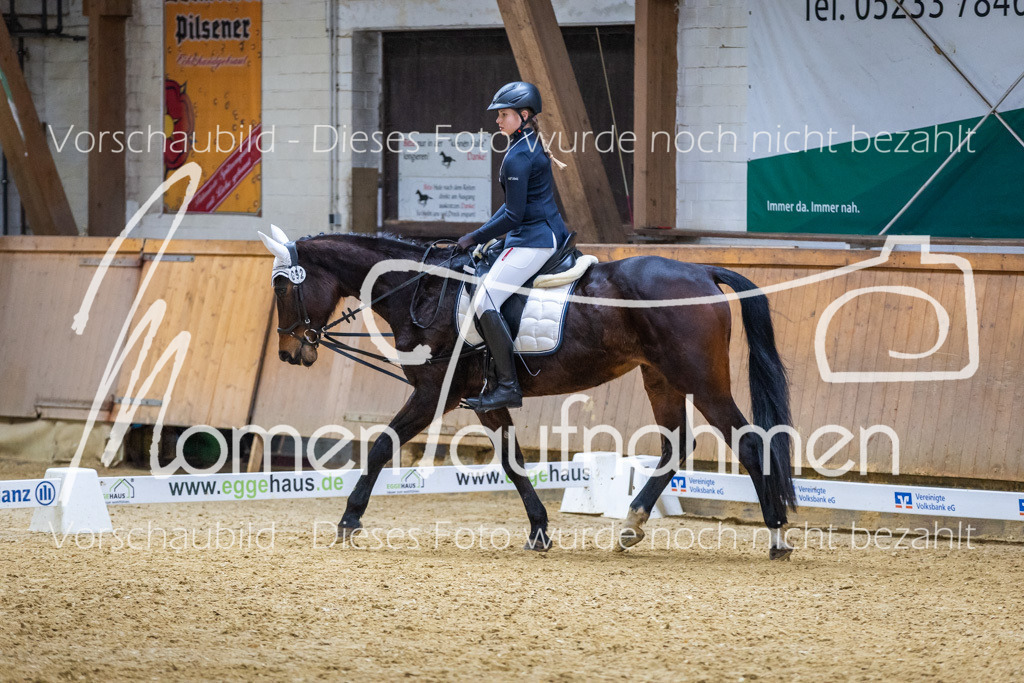 _M2A1585 | MomenTaufnahmen Pferdesportfotos