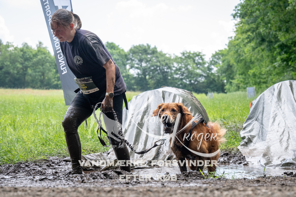 1116_ZZ92347 | kk-dogfotos