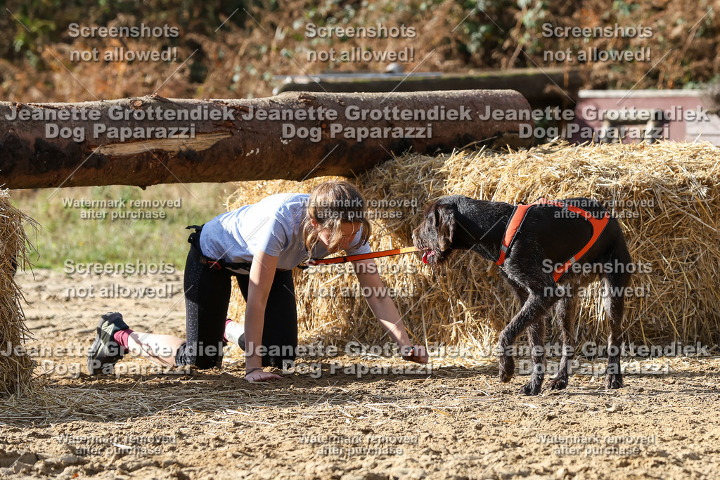 Dog Paparazzi - Strongdog 10-25-5507 | Dog Paparazzi Jeanette Grottendiek Fotografie & Videografie - Realisiert mit Pictrs.com