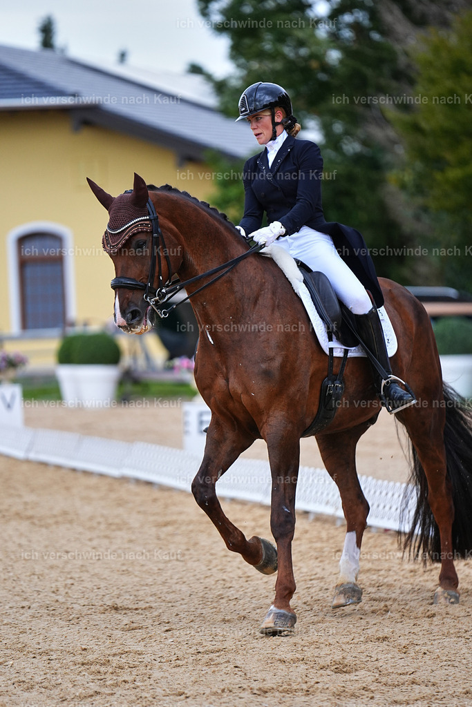 8_1-085-Klasse S_  -Marixx-4107 | working equitationturnier fotograf videograf stoibphotography marixx film working equitation deutschland reitsport turnierfotografie eventfotografie equestrian events