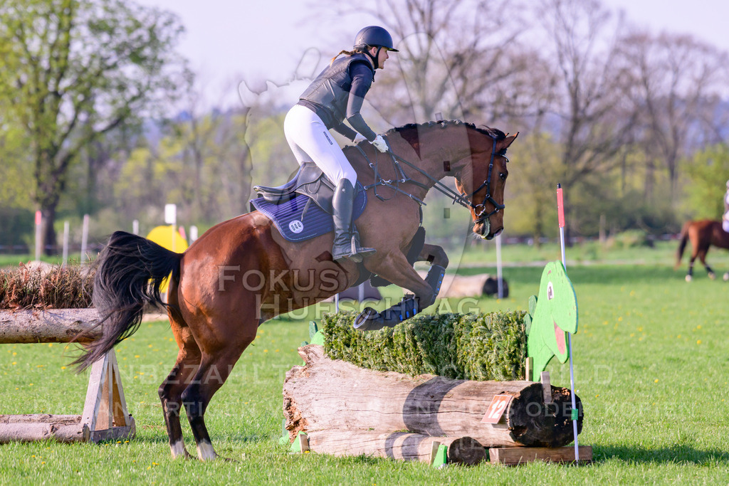18042026-Gernlinden-02-0381 | Fokus Hufschlag Fotografie - Realisiert mit Pictrs.com