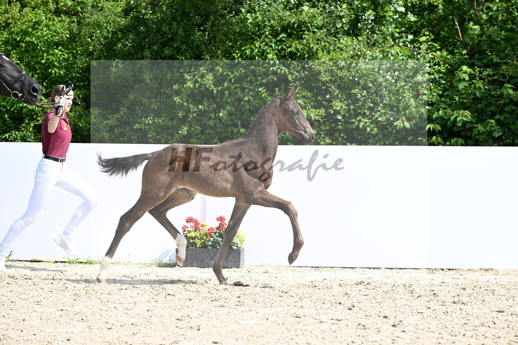 Esperanto x Livigno_HF_Ederle_13250630 | hf-fotografie - Realizzato con Pictrs.com