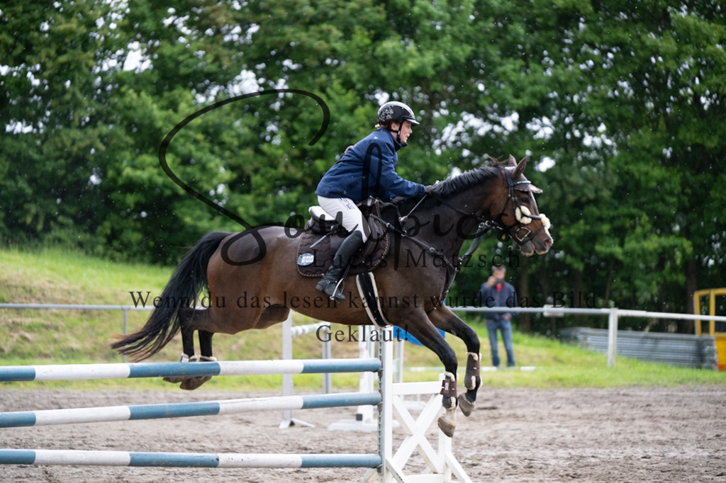 A7V04996 | Pferdefotograf