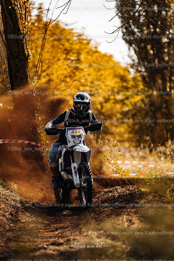 E68A2462 | blick_win_kel