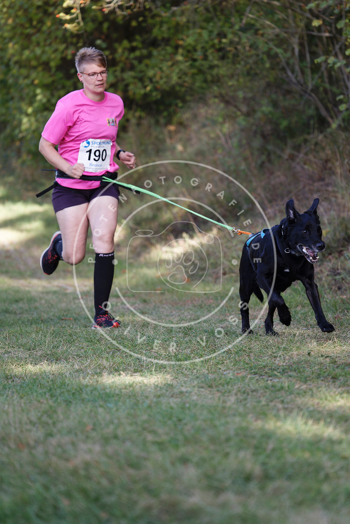 0L8A5641 | Hundefotografie, Tierfotograf, Pfotenfotografie, Fotoshooting Hund, Hunde Portrait, Hundesport, Hundeportraits, Heideshooting, Hunde, Sportfotograf, Hundefotograf, Turnierhundsport, THS,  - Realisiert mit Pictrs.com