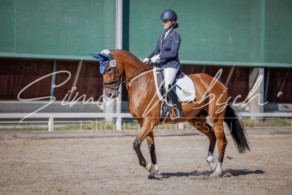20250906-_3LI3452 | Tierfotografie Pferde, Hunde, Katzen, Haustiere.
Turnierfotografie Reitturniere, Reiten, Springreiten, Dressur in Hanau, dem Main-Kinzig-Kreis und dem Rhein-Main- Gebiet um Frankfurt