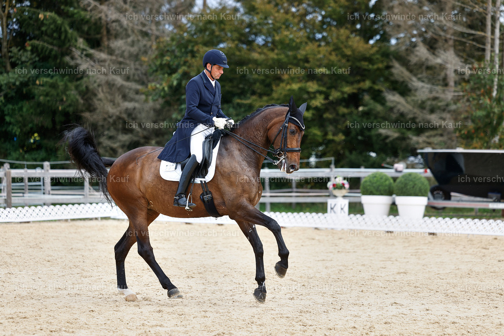 11-226-Dressur S___-StoibPH-1027 | working equitationturnier fotograf videograf stoibphotography marixx film working equitation deutschland reitsport turnierfotografie eventfotografie equestrian events