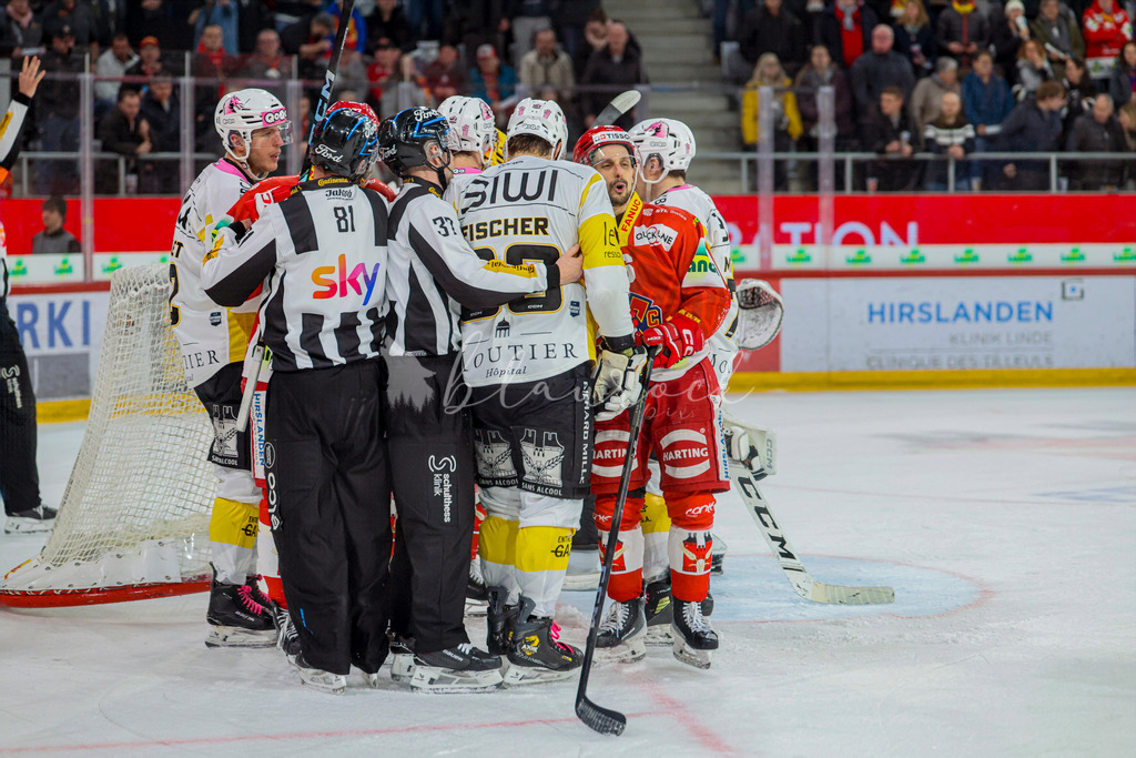 EHCB vs HCA 20260127_wb-9668 | Sportbilder, Sportfotograf, Hochzeits- und Eventfotografin, Flugshows, Portraits und Tiershooting, Aviation, Downhill, Nationalleague, Swissleague, International