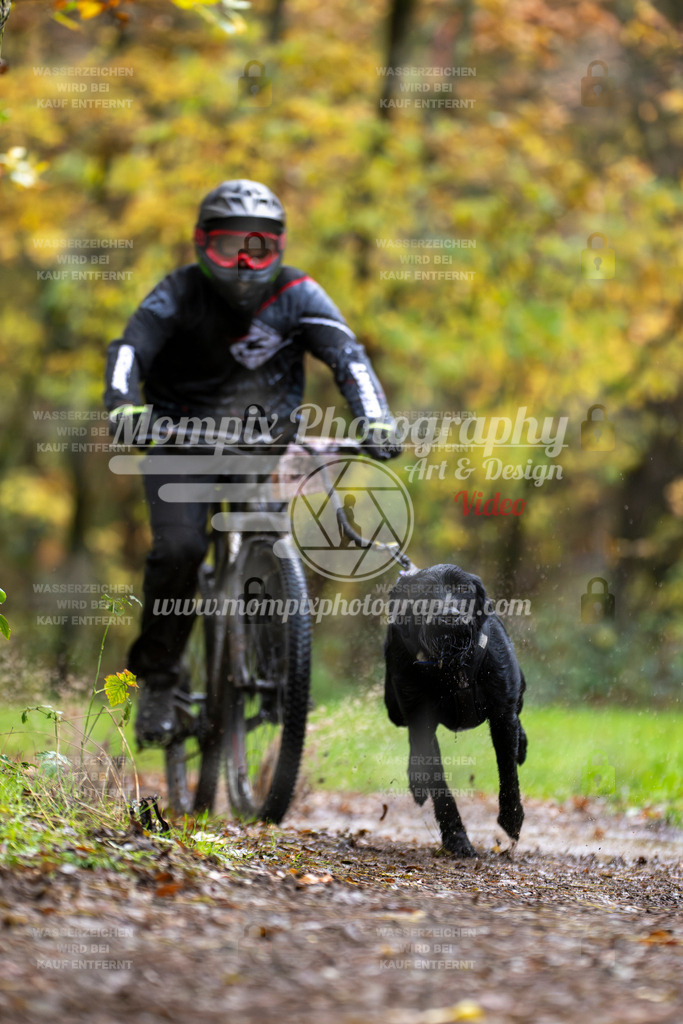 MompixPhotography_Bischwiller23_Bike-12 | PayLife