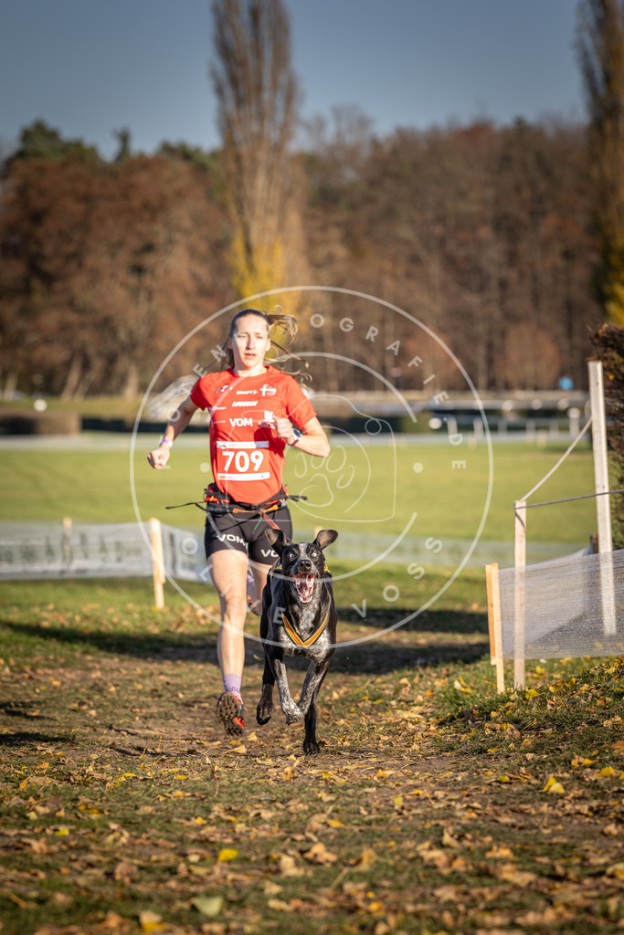 CaniXpix_DV3A1589 | Hundefotografie, Tierfotograf, Pfotenfotografie, Fotoshooting Hund, Hunde Portrait, Hundesport, Hundeportraits, Heideshooting, Hunde, Sportfotograf, Hundefotograf, Turnierhundsport, THS,  - Realisiert mit Pictrs.com