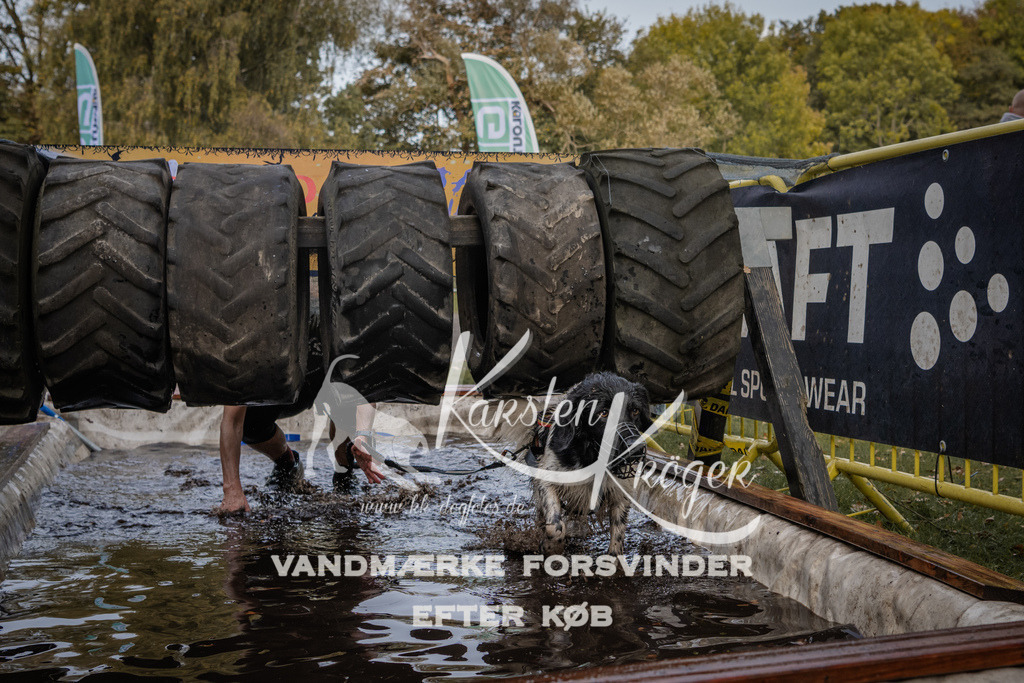 1459_ZZ90823 | kk-dogfotos