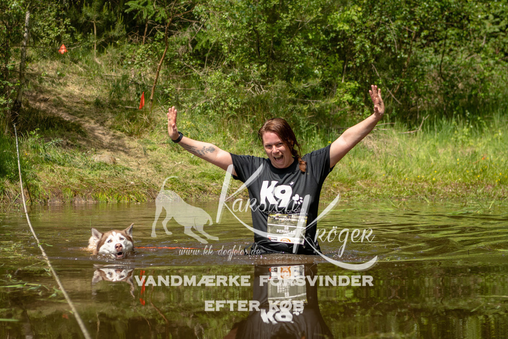 1246DKK993503 | kk-dogfotos